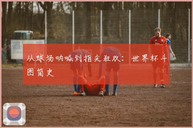 从球场呐喊到指尖狂欢：世界杯斗图简史