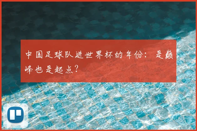中国足球队进世界杯的年份：是巅峰也是起点？