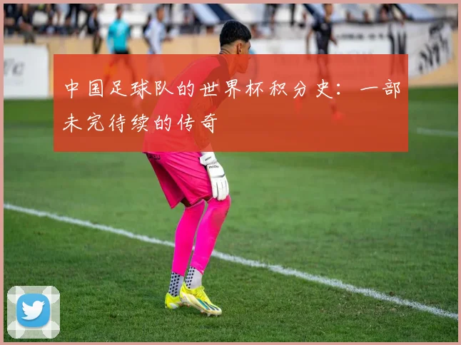 中国足球队的世界杯积分史：一部未完待续的传奇