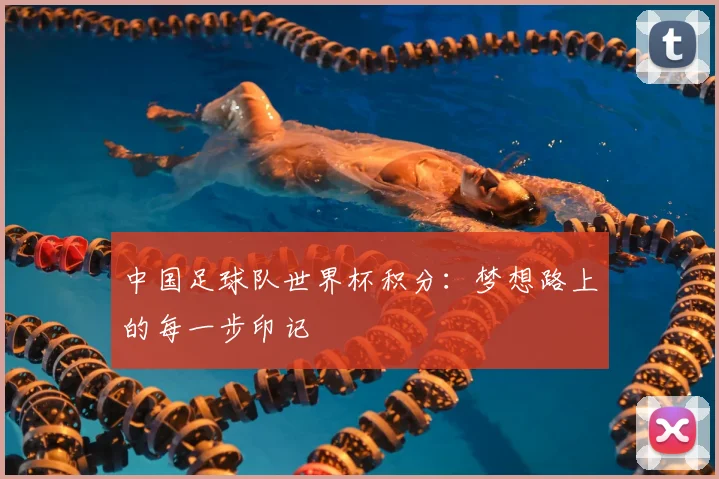 中国足球队世界杯积分：梦想路上的每一步印记