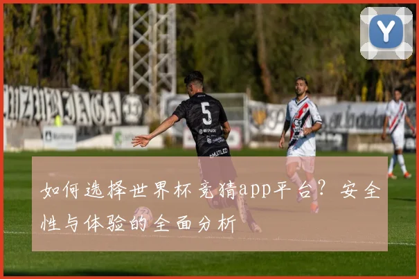 如何选择世界杯竞猜app平台？安全性与体验的全面分析