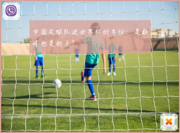 中国足球队进世界杯的年份：是巅峰也是起点？